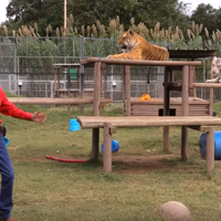 Joe Exotic's N-Word Video