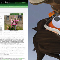 2020 April Fools' Day list examples pranks