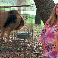 Carole Baskin wearing a pink leopard and floral printed shirt and a flower crown sitting outdoors beside a caged lion
