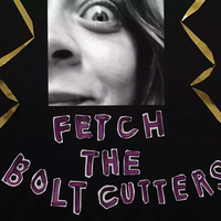 Fetch the Bolt Cutters