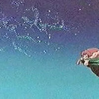 Lion King "Sex Cloud" Shot from the lion king where the word sex appears in the sky