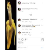 Long Instagram Posts