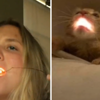 3, 2, 1, Go / Rhythm Thief