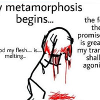 My Metamorphosis Begins