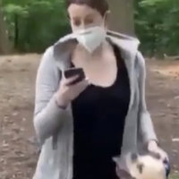amy cooper calling the police on christian cooper in central park dog walking video 