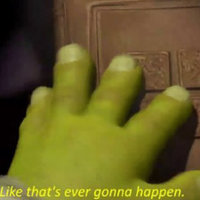 Like That's Ever Gonna Happen Like That's Ever Gonna Happen Shrek reaction image