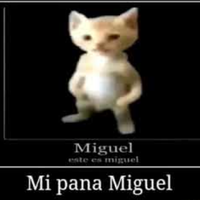 Miguel / Michael