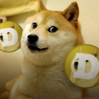 Dogecoin Challenge