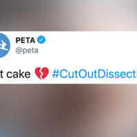 PETA's "Not Cake" Tweet