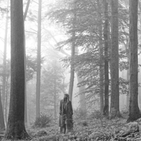 Taylor Swift's "Folklore"