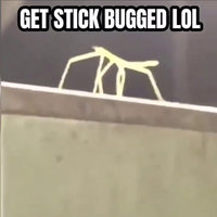 Get Stick Bugged Lol stick bug sitting on a ledge
Get Stick Bugged Lol meme