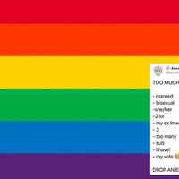 gay pride rainbow flag with a tweet over it