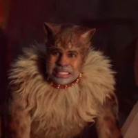 "I Thought Cats Would Change The World" "I Thought Cats Would Change The World"
