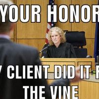 Your Honor Your Honor