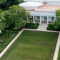 Melania Trump's Rose Garden Melania Trump's plain green garden at the White House