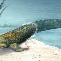 Tiktaalik meme depicting an illustration of a fish leaving water for dry land.