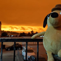 2020 US West Coast Wildfires