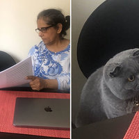 Woman Showing Papers to Grey Cat