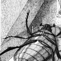 Kafka Novella referenced in numerous memes