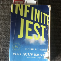 lengthy novel by david foster wallace