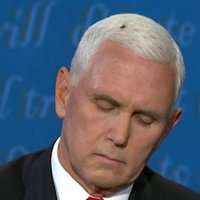 Mike Pence Fly