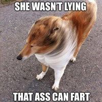 She Wasn't Lying, That Ass Can Fart She Wasn't Lying, That Ass Can Fart