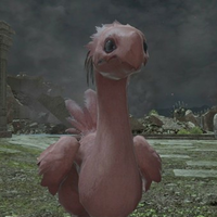 Red chocobo from Final Fantasy XIV