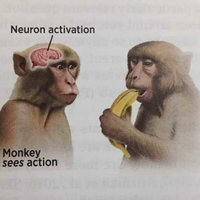 Neuron Activation neuron activation meme