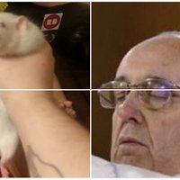 Twitter Image Preview Memes