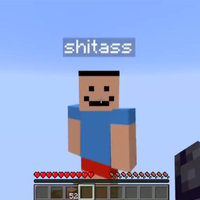 Hey, Shitass Minecraft character named shitass