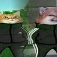 cat and dog in Adidas tracksuits