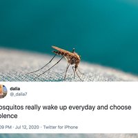 Wake Up And Choose Violence