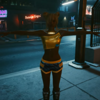 failed texture cyberpunk 2077 glitch
