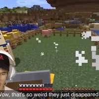 Wow, That's So Weird They Just Disappeared