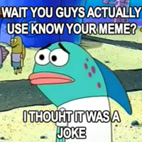 Wait, I Thought It Was a Joke