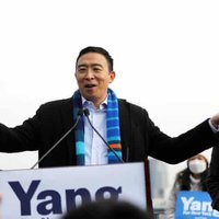 andrew yang for mayor