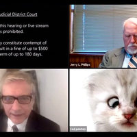 A screenshot from the video kitten zoom filter mishap