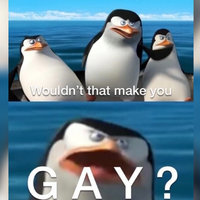 Madagascar penguins in a life raft questioning if someone is gay