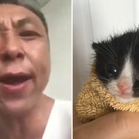 Chinese Man Yelling at a Kitten