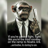 Fight Like You're the Third Monkey on The Ramp to Noah's Ark, and Brother It's Startin' to Rain Fight Like You're the Third Monkey On the Ramp to Noah's Ark, And Brother it's Startin' to Rain meme example.