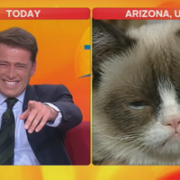 Reporter Laughing at Cat