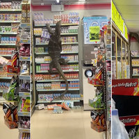 Giant Lizard Climbing Supermarket Shelves