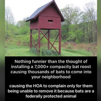 Nothing Funnier Than 7000+ Bats Nothing Funnier Than 7000+ Bats viral image and meme.