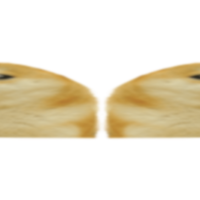 Quoge character from Dogelore depicting an ear-less low-res doge.