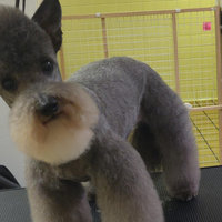 We Will Boil Him Soon Alhamdulillah meme.