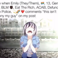 Emily BLM ACAB Is Typing meme example from the catchphrase.