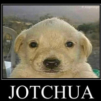 Jotchua