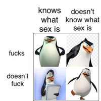 knows what sex is
doesn't what know sex is 
fucks
doesn't fuck
