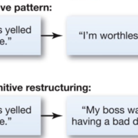 Maladaptive Pattern