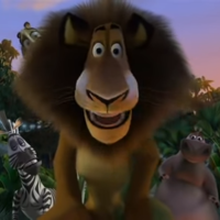 X Staring at the Wings on the Table / Crying Mort Alex Scares Mort / Crying Mort meme from Madagascar.